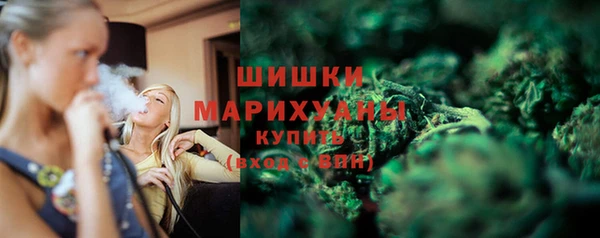 дурь Бородино