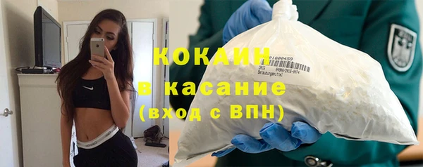 дурь Бородино