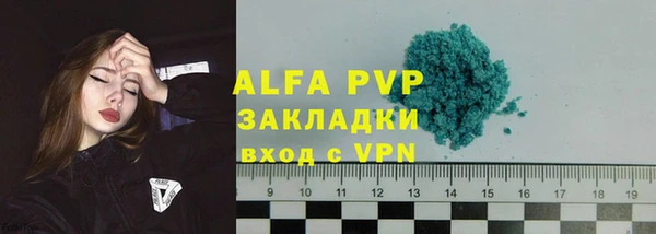 дурь Бородино