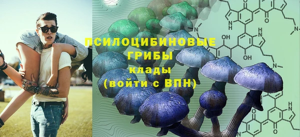 герыч Билибино