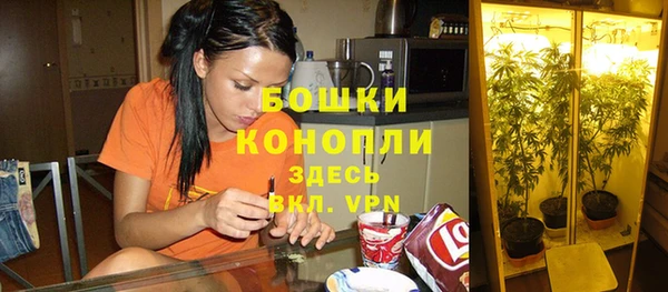 эйфоретик Белая Холуница